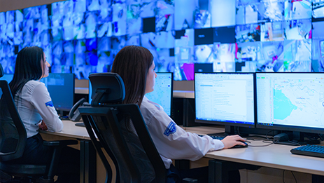 24/7 Monitoring Services