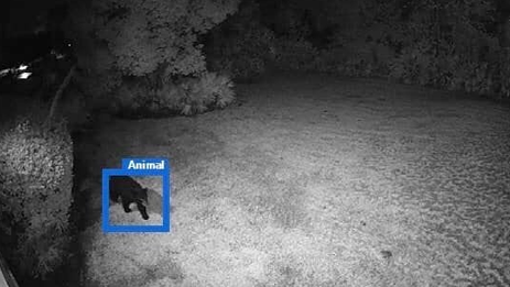 HD Video with Night Vision